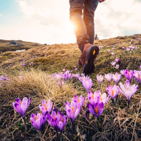 Wander-Workshop am 22.03.25 „Frühlingswanderung mit dem Ei“ (6h)