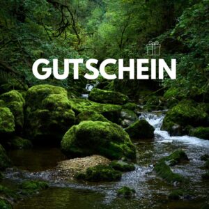 Gutschein für eine (R)Auszeit in der Dresdner Heide (4h) <br /><span style="color: #2c4c00;">Ein SINNvolles Geschenk für alle Frauen, die eine (R)Auszeit brauchen.</span>