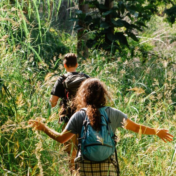 Wander-Workshop am 24.05.25 „In voller Blüte!? Wo stehe ich gerade?“ (6h)