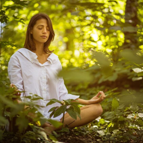 Wander&Yoga-Workshop am 21.06.25 „Lass uns den Sommer begrüßen“ (6h)