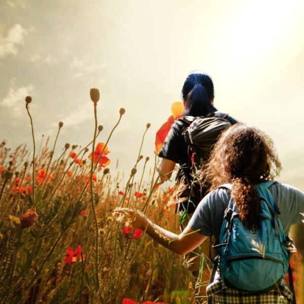 Wander-Workshop am 24.05.25 „In voller Blüte! Mit allen Sinnen unterwegs“ (6h)