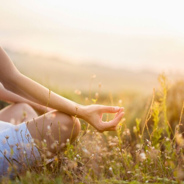 Wander&Yoga-Workshop am 20.09.25 „Fülle und Dank – Erntedankzeit” (6h)