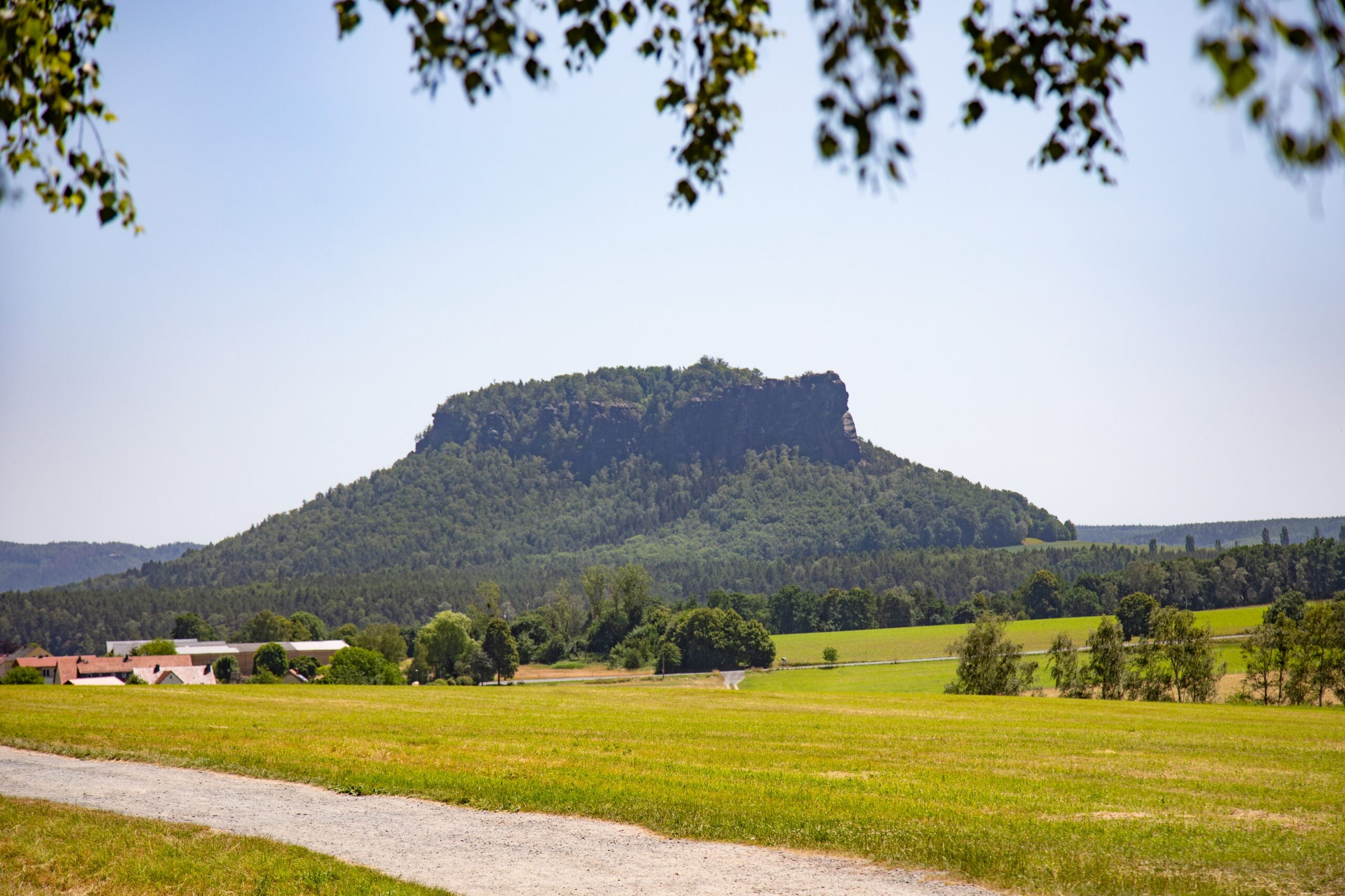 Blick zum Lilienstein
