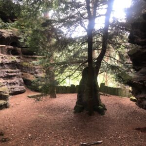 (R)Auszeit Natur & Rituale am 19.09.26 (4,5h)