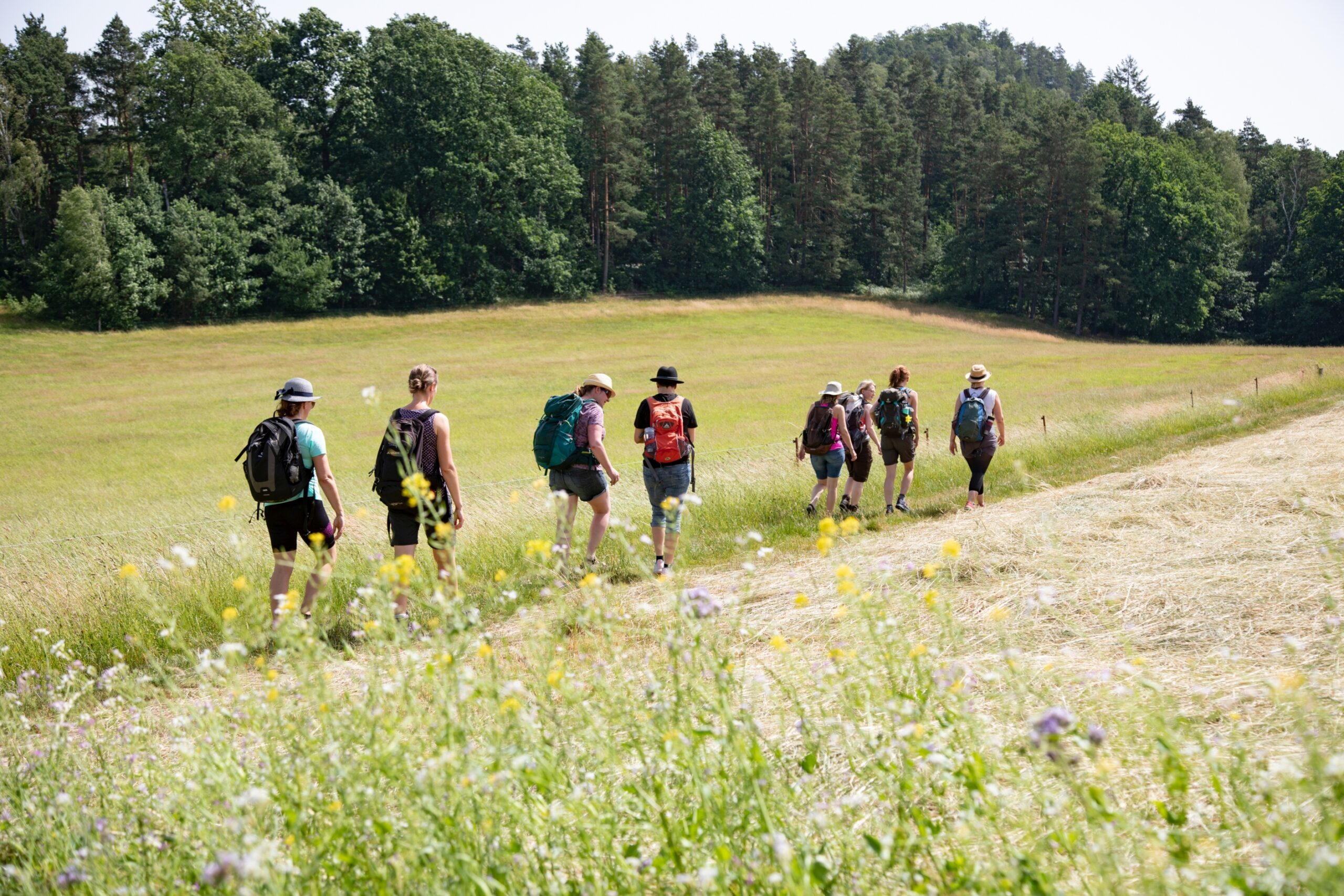 Wanderung Richtung Rauensteine
