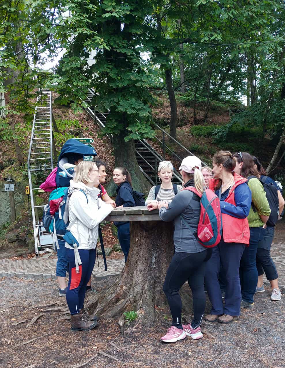 Netzwerken 01.09.23_Papststein