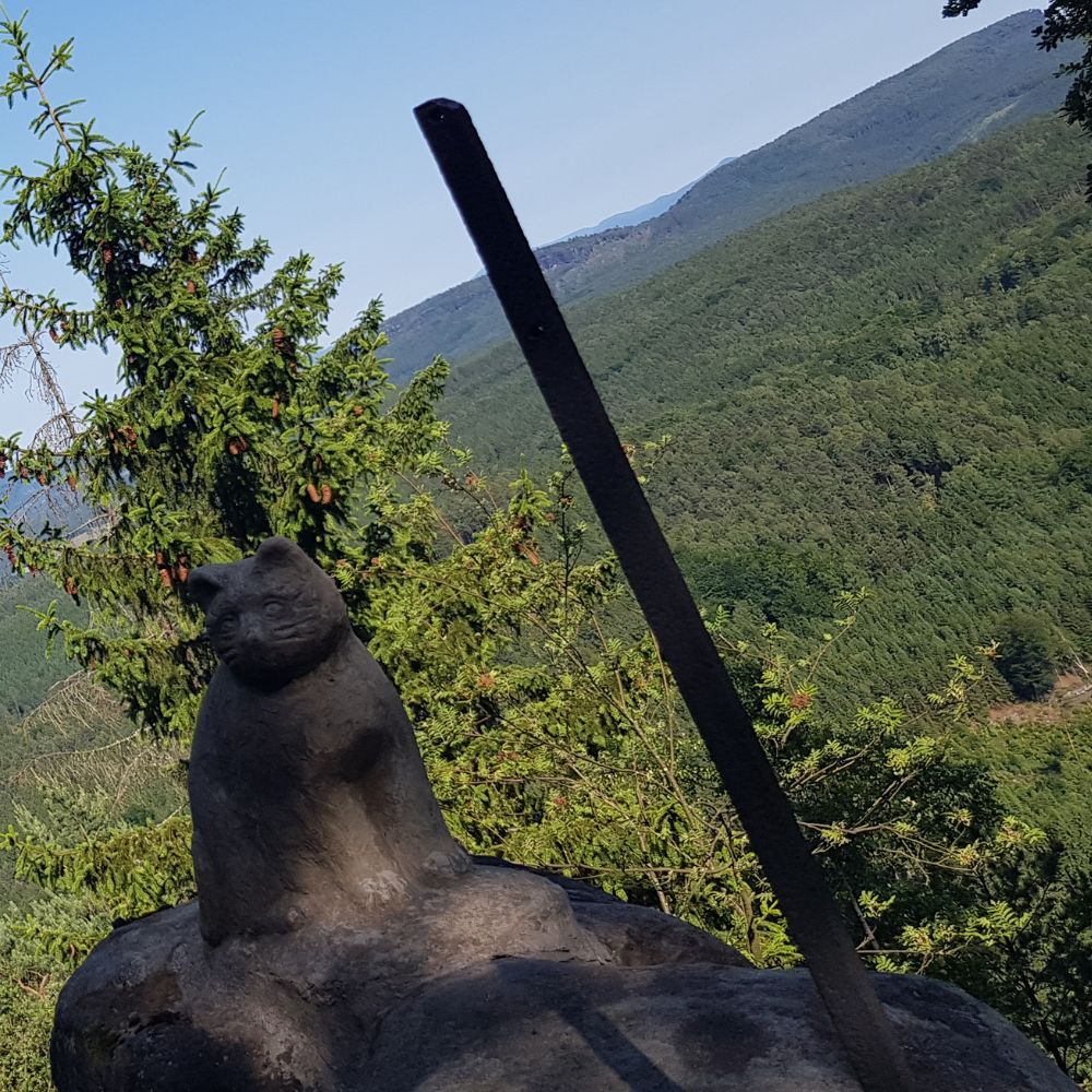 Winter-Wunder-Wanderung: Einzigartige Ausblicke rund um Cunnersdorf am 31.01.26 – Bild 3