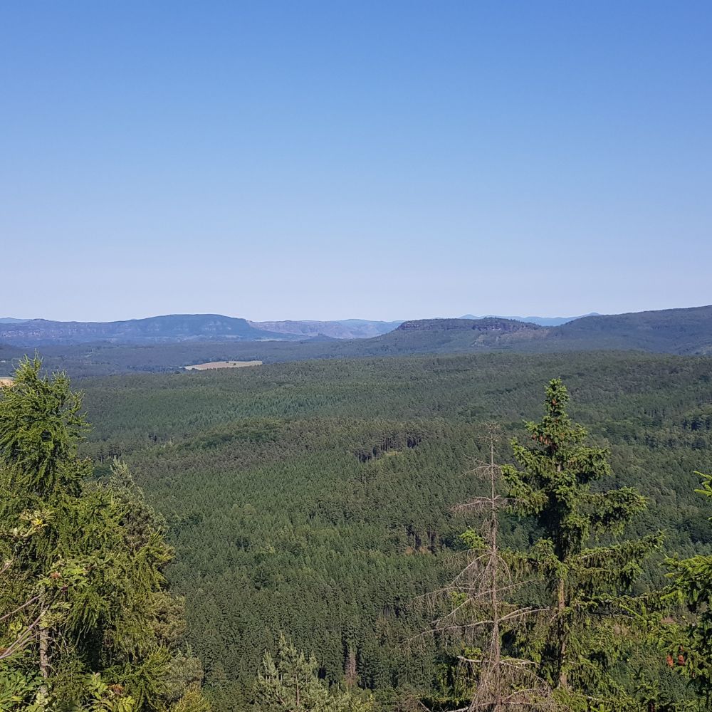 Winter-Wunder-Wanderung: Einzigartige Ausblicke rund um Cunnersdorf am 31.01.26 – Bild 4