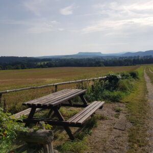 (R)Auszeit Wanderung mit allen Sinnen auf dem Panoramaweg am 17.05.26 (5h)