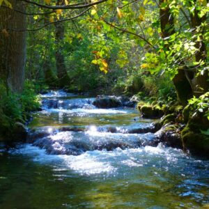 (R)Auszeit Natur&Yoga am 17.10.26 „Komm in den Fluss" (4h)